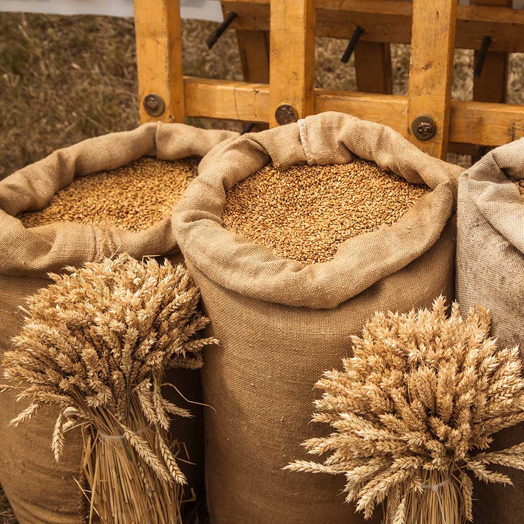 Agriculture